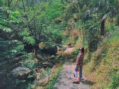 -夏霖九天银瀑风景区