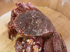 -蟹田居·活蟹料理(东城店)