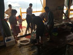 -罗源湾8号渔排