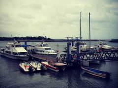 -日照世帆赛基地