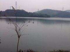 -宁波九龙湖开元度假村
