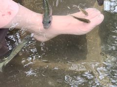 -西安国际创新人才交流中心•药浴温泉