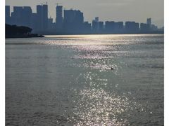 -深圳湾公园(南山区)