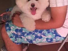 -爱侣宠医·鹦鹉专科·小型哺乳类·异宠专科(灵石路店)