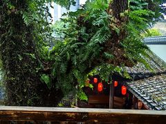 -星巴克(福州三坊七巷店)