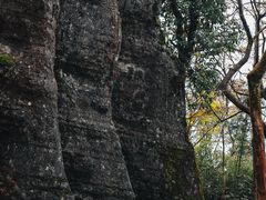 -山王坪喀斯特国家生态公园