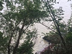 姥山岛-巢湖姥山岛