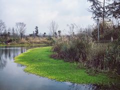 -桤木河湿地公园