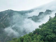 -牛背梁国家森林公园