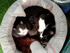 -艾加柒克蛋糕茶歇甜品台(春熙路店)