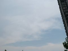 -苗祖咖啡(洛克时代中心店)