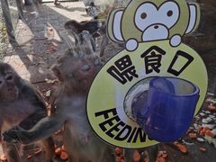 -辛玛王国游乐园