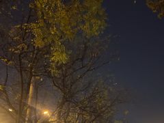 -星巴克(北京佳程广场店)