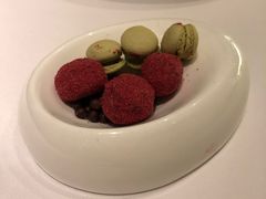 -蝶舍·MAISON PAPILLON