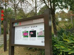 -聚龙山公园