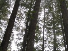 -山王坪喀斯特国家生态公园