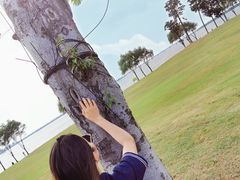 -漕湖湿地公园
