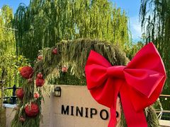 -MINIPOPO鲜奶·甜品(宽厚里店)