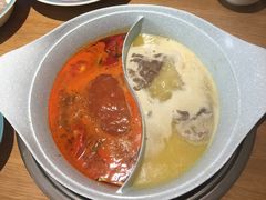 -青瓷火锅料理(西单大悦城店)