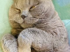 -Rabbit Cafe私房西餐甜点咖啡(栖霞路店)