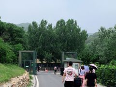 -大连森林动物园