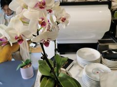 -LAB COFFEE来杯咖啡(浦仓路店)