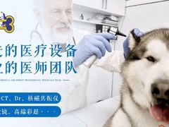 -康成宠物医院24H·CT·核磁共振