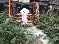 -龙达温泉生态城