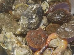 -渔家风味·鲅鱼水饺·央视展播·海鲜天津菜(开发区店)