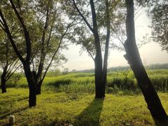 -泰安地下龙宫景区