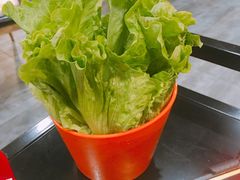 生菜-古乐牛香·鲜牛肉牛杂火锅(五一中路店)