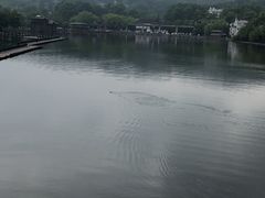 -西湖外事游船(花港观鱼码头)