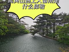 -黄山风景区