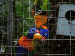 -大连森林动物园