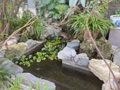 -谷咖啡·鲜花绿植花园餐厅