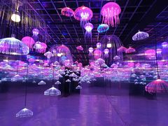 -南湖梦幻岛