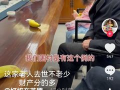 -约翰·菲茨杰拉德·肯尼迪国际机场