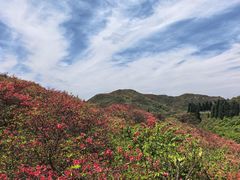 -大围山国家森林公园