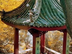-北极阁公园