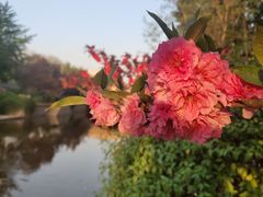 -海棠花溪(元大都城垣遗址公园)