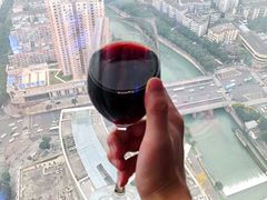 -339旋转餐厅(天府熊猫塔店)