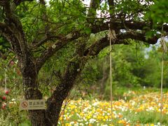 -名花谷生态庄园