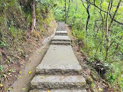 -马峦山郊野公园