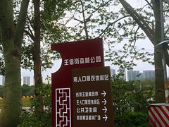 -王借岗森林公园