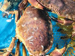 -盒马鲜生(大行宫店)