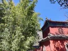 -大觉寺-停车场
