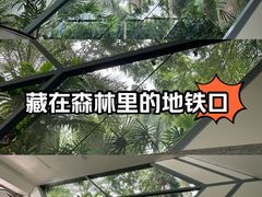 -南宁南湖公园