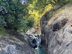 -广州白江湖森林公园