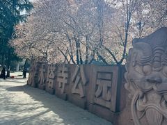 -木塔寺遗址生态公园