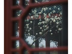 -堤角公园